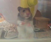 �͂��߂܂���