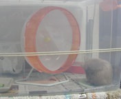 ��r�`���܂�