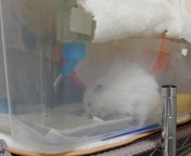 ��r�`������