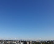 �����V�C