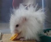 �ʎq�Ă��������