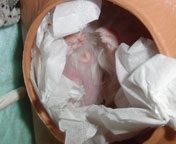 �C�����悳������