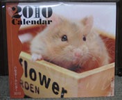 �͂ނ���񂾁[��