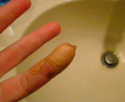 ���܂���(��)