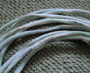 ����ΗL��