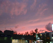 ���ꂢ�ȗ[�Ă�