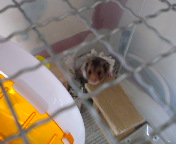 �N�����������