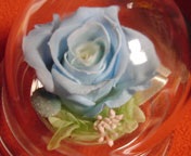 �܂��܂��A��������