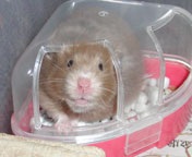 �����̂��܂�