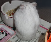 ���e����ʐM�`�����邱��