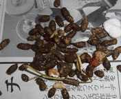 �����̂��܂�