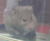 ����ꂽ�܂���