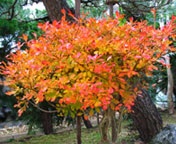 �܂��܂��A���Ƃ����ʐ^