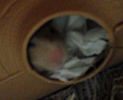 ���܂����