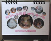 �o���܂����I