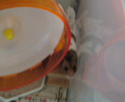 �܂�����(��)