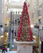 �N���X�}�X�c���[