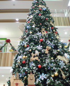 �m�[�X�|�[�g��