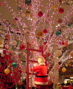 �������l