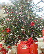 ���{��������