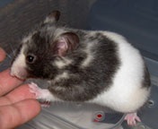 �Ȃ񂩍����́E�E�E