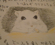 邱