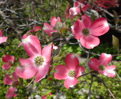sN
