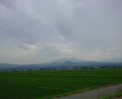 bcR
