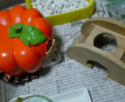 vł