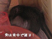 茩ƂI