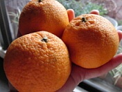 łۂ