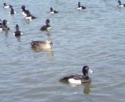 GTȂȂ