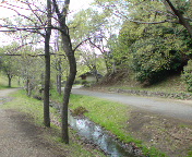 A蓹