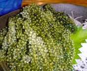 CԂǂ