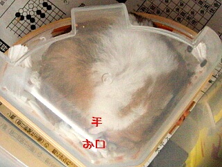 킢`