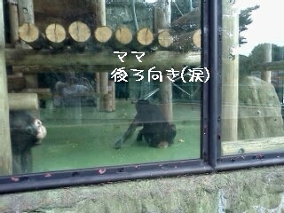 `pW[̐Ԃ