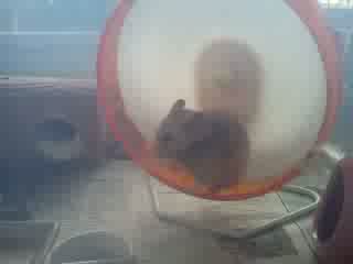 [NĂ[