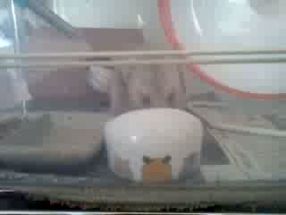 q݂