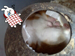 ڂ̂܂N