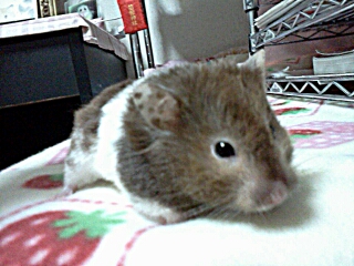 �܁[�����A������