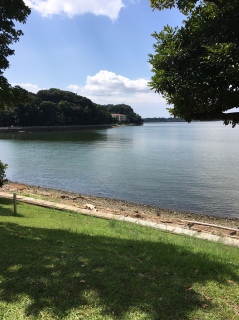 マイ浜名湖