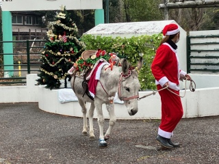 �G�}�����I