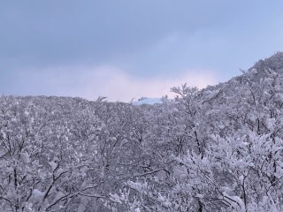 �郖�q����