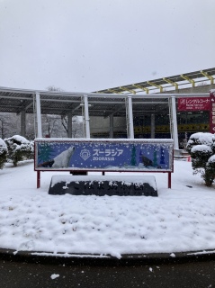 �ς���܂����I