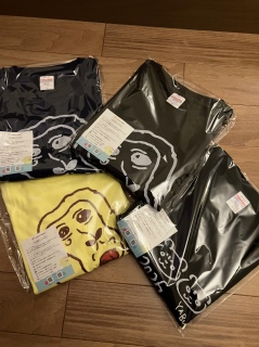 ���X�����^