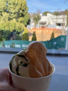 ���T���\�t�g