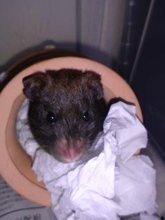 ��������́E�E�E