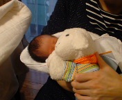 �}�}�ɂȂ�����