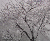 ���݂�(x_x;)