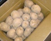 �j�݂����`��